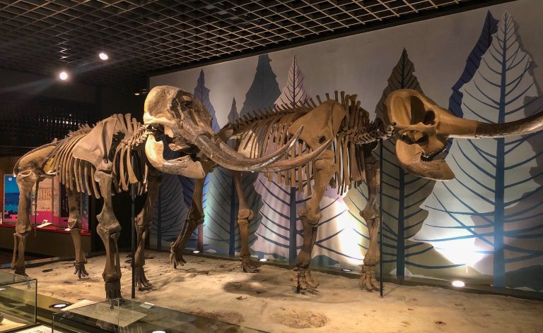 明石市立文化博物館