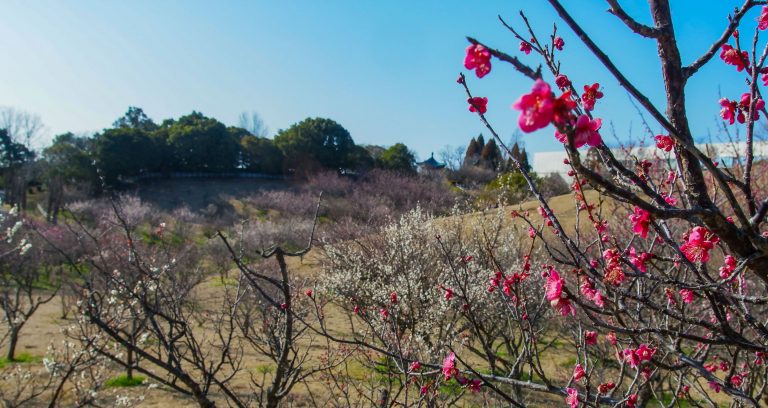 Things to do in Akashi