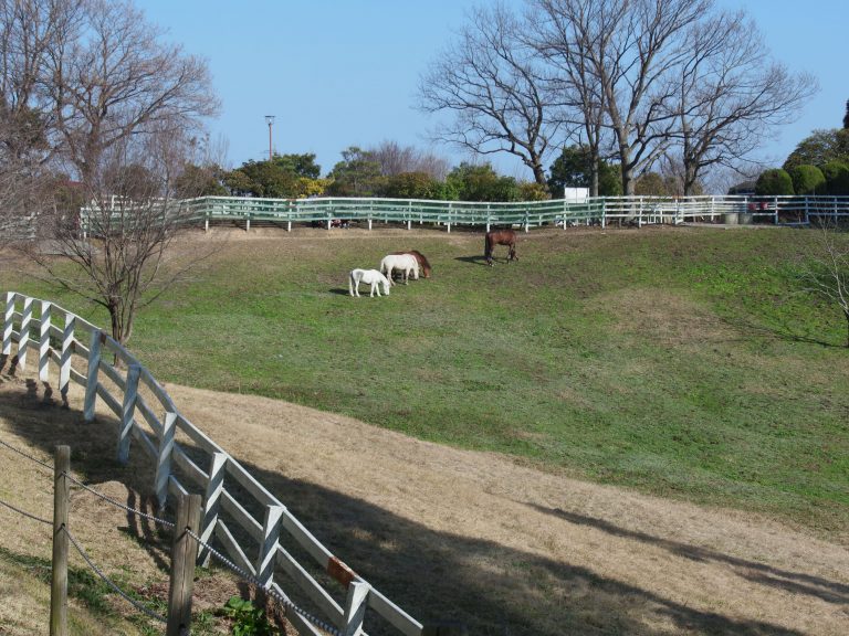 Things to do in Akashi