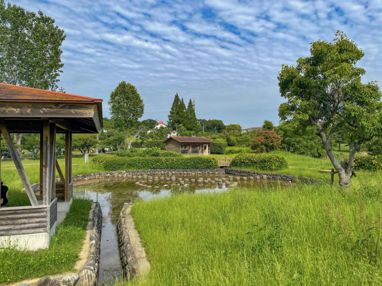 Sunflower Hill Park, Ono