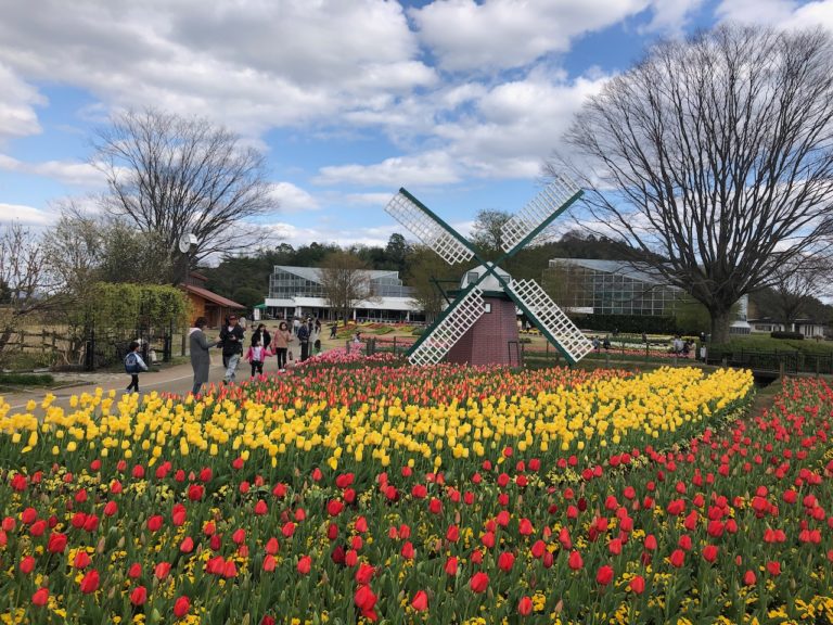 Hyogo Prefectural Flower Center