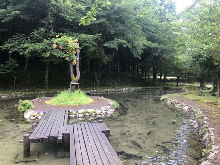 Takenokomura Campsite