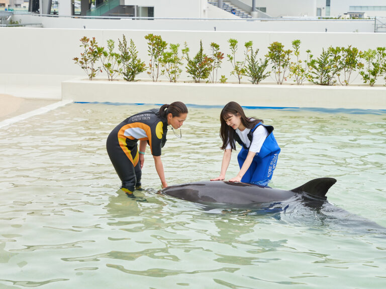 kobe suma sea world02 3 768x576