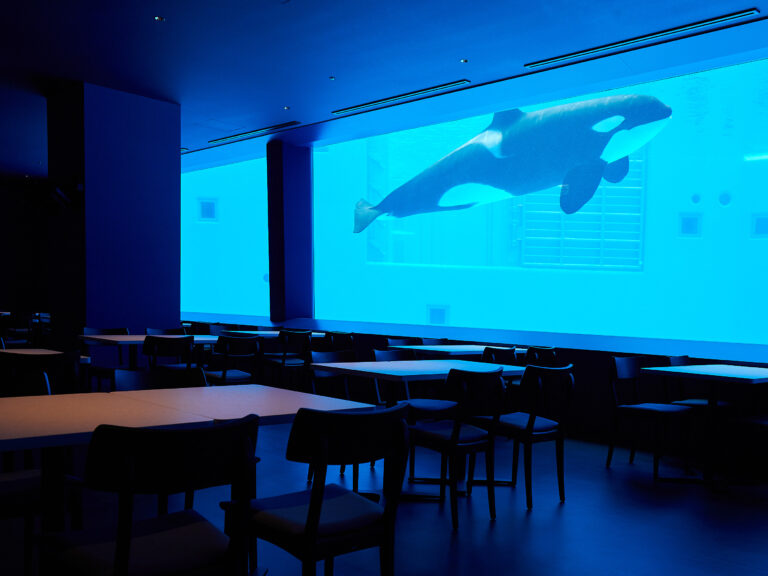 kobe suma sea world04 2 768x576