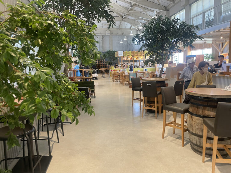 nature studio 04 768x576