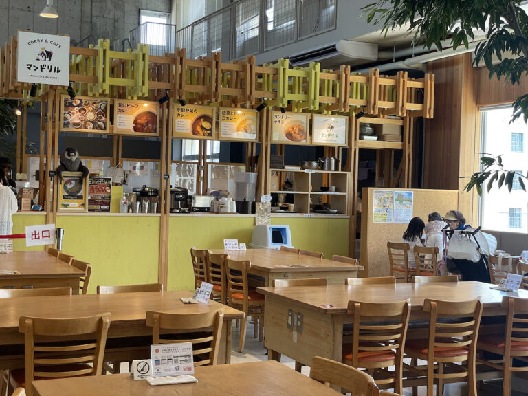 nature studio 06 768x576