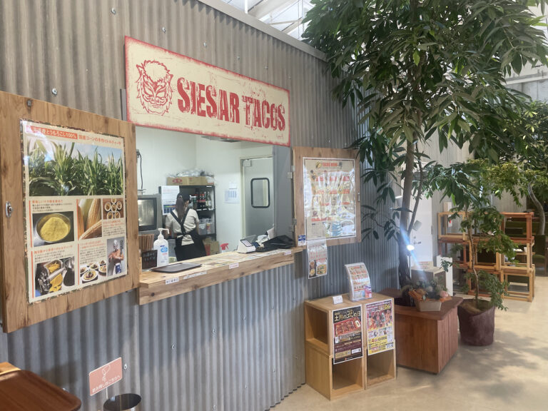 nature studio 09 768x576