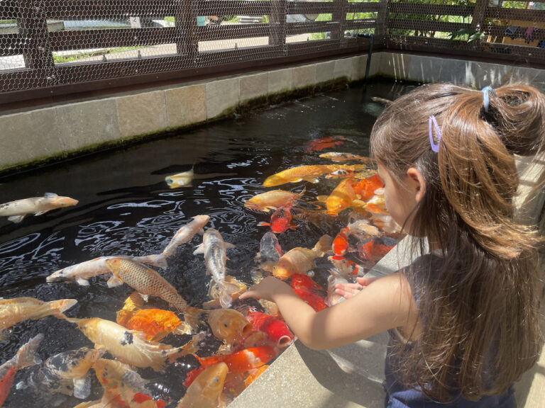 nature studio 11 768x576