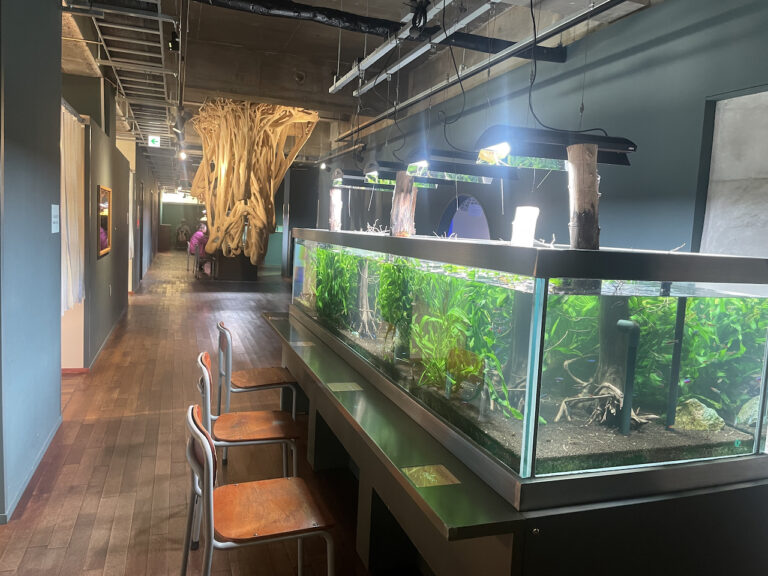 nature studio 12 768x576