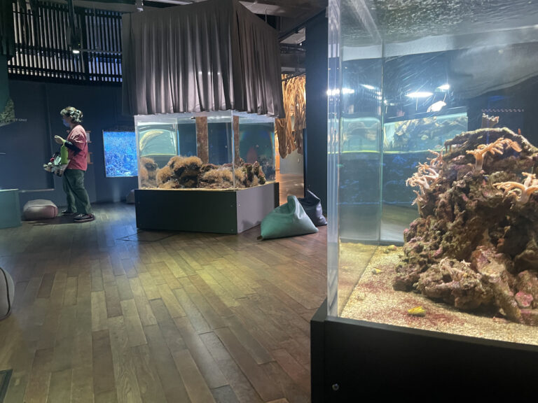 nature studio 13 768x576