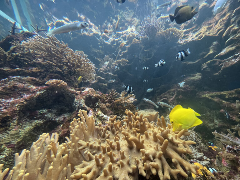 nature studio 14 768x576