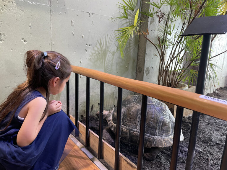 nature studio 15 768x576