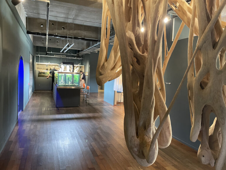 nature studio 16 768x576