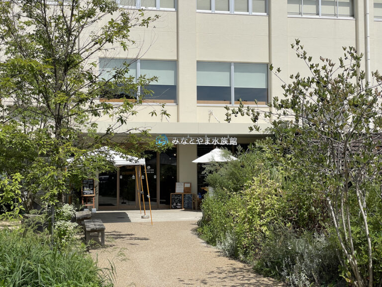 nature studio 17 768x576