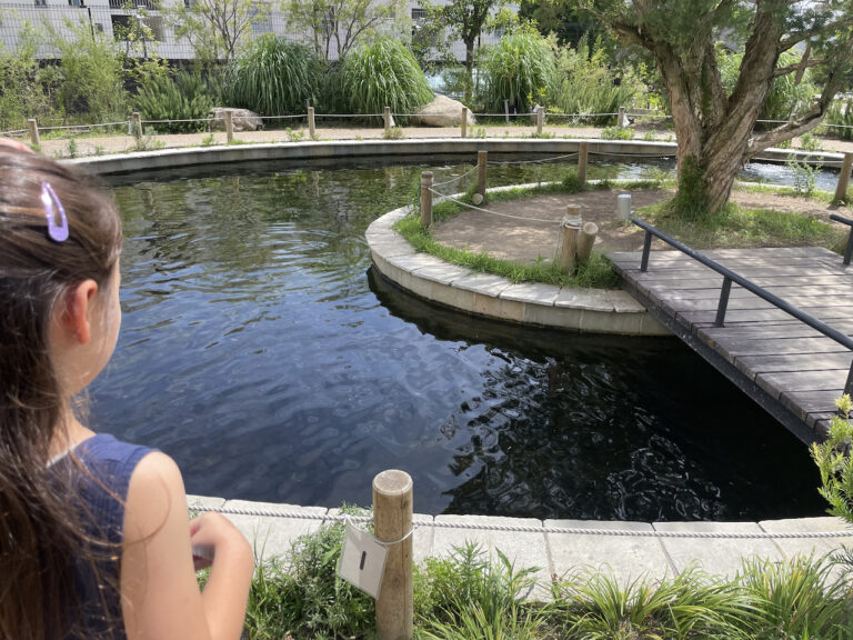 naure studio 18 768x576