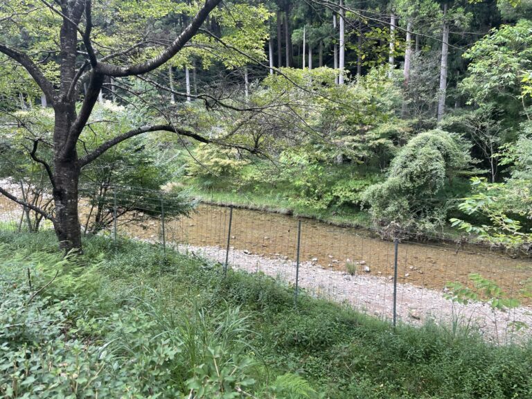 IMG 4382 dsqz 768x576