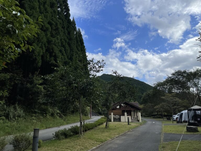 IMG 4386 dsqz 768x576