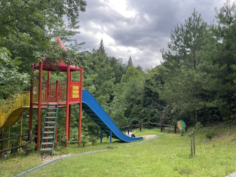 IMG 4398 dsqz 768x576