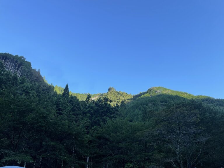 IMG 4429 dsqz 768x576