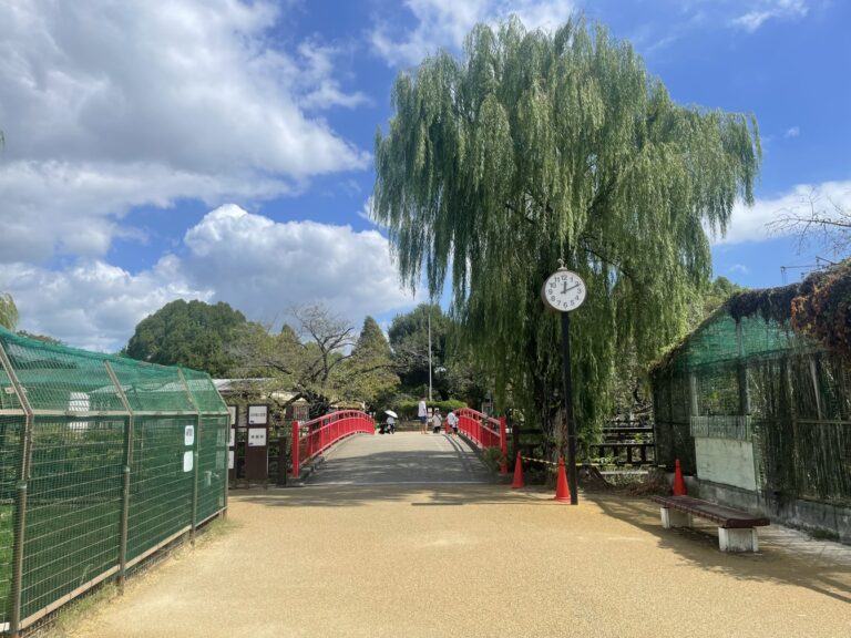 IMG 4471 dsqz 768x576