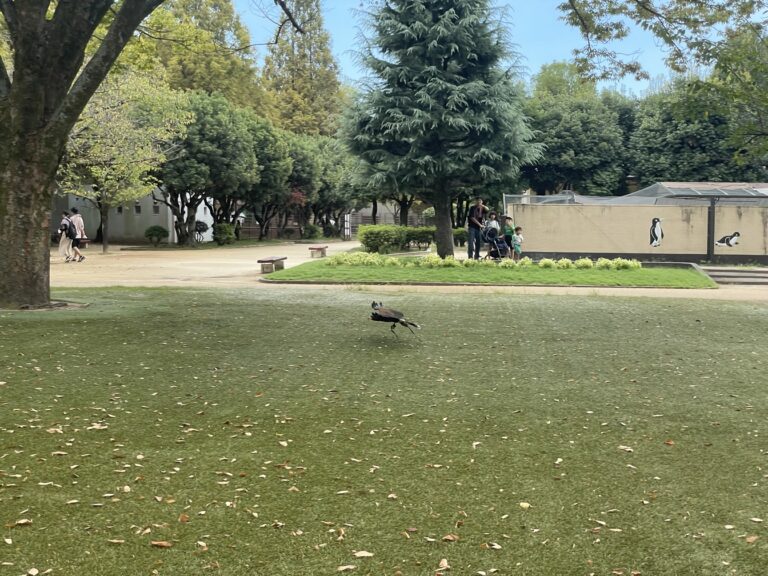 IMG 4529 dsqz 768x576