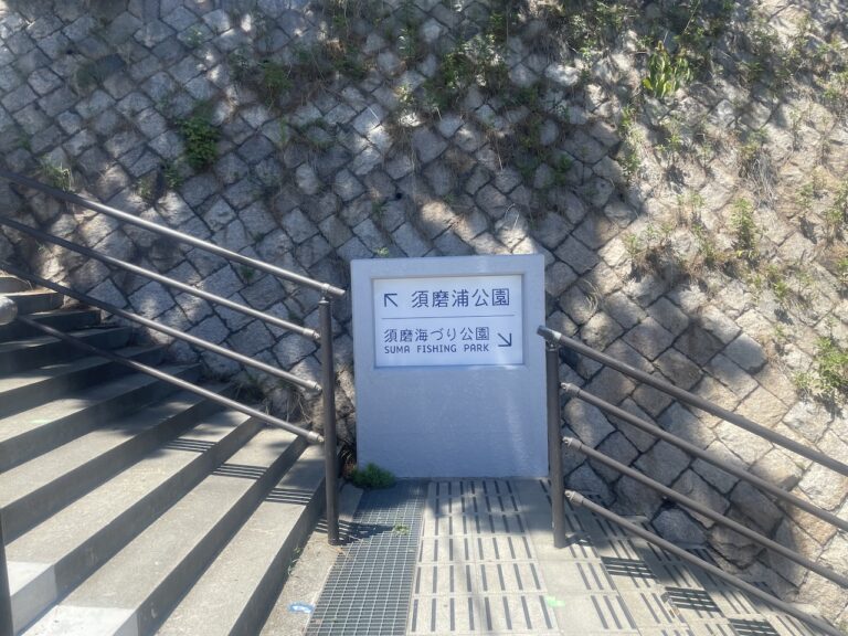 suma fishing park 01 768x576