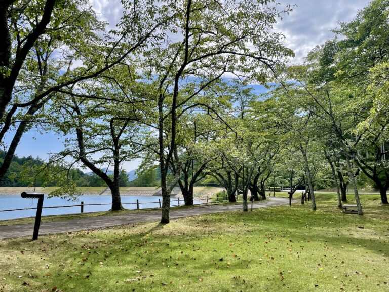 unitopia sasayama camp07 768x576