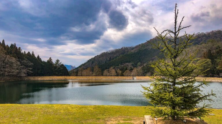 unitopia sasayama camp10 768x432