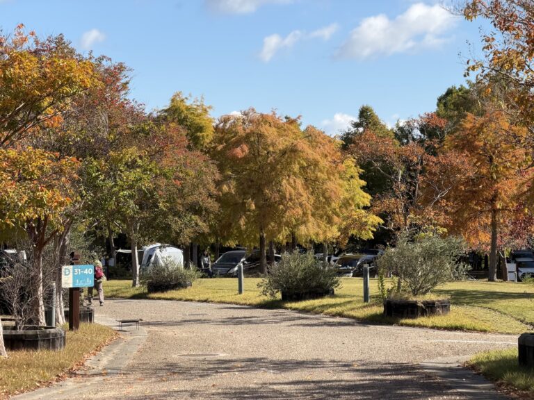 Ako Seaside Camping 09 768x576