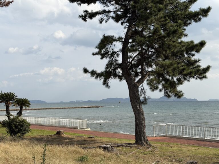 Ako Seaside Park 05 768x576